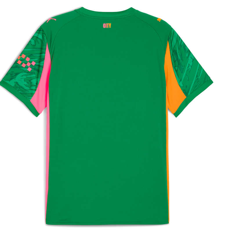 MENS GK JERSEY SS-EPL-PL - green